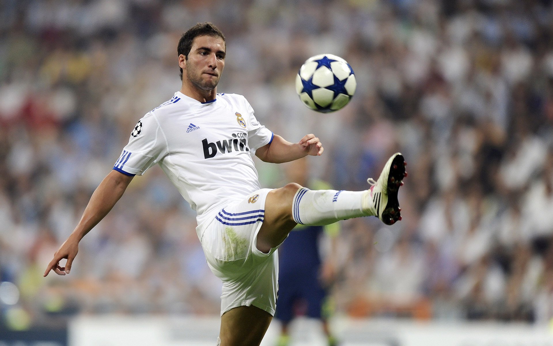 瓜达拉哈拉主场迎战卫冕冠军，挑战强敌，瓜达拉哈拉球衣